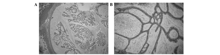 Figure 3.