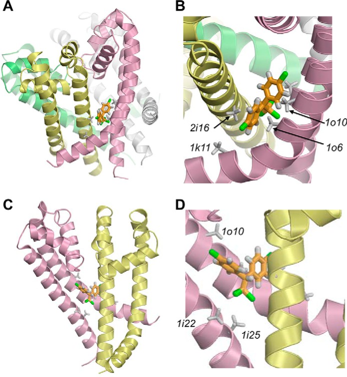 FIGURE 4.