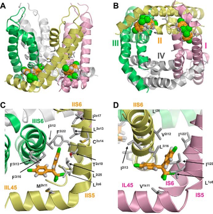 FIGURE 5.