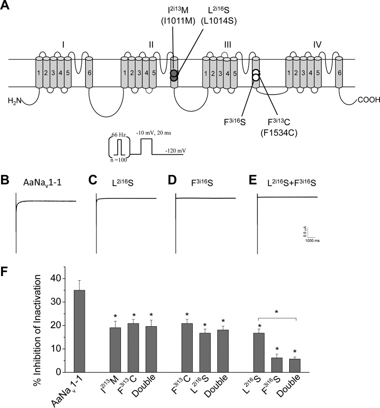 FIGURE 7.