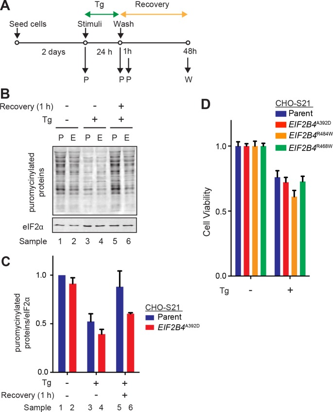 Fig 4