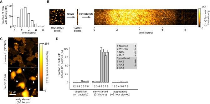 Figure 7—figure supplement 1.