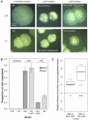 <sc>Fig</sc>. 5.