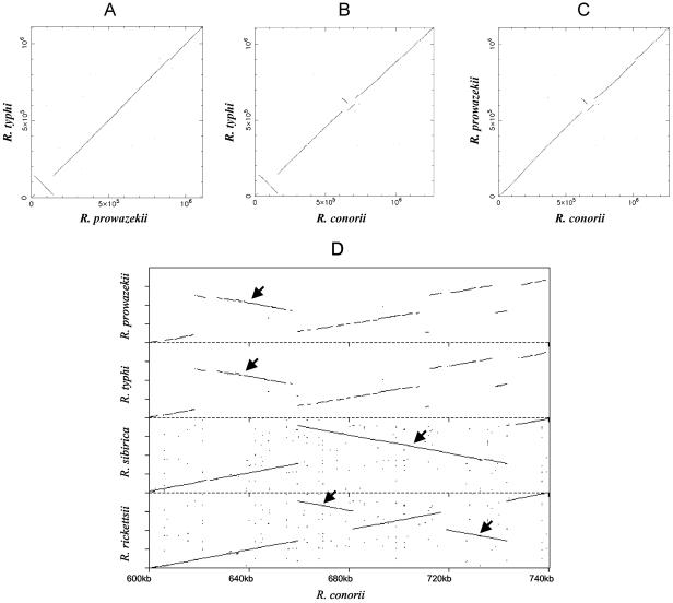 FIG. 2.