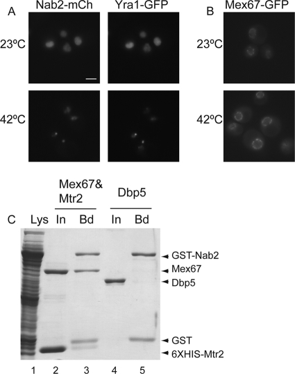 FIG. 8.