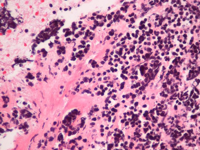 Figure 3