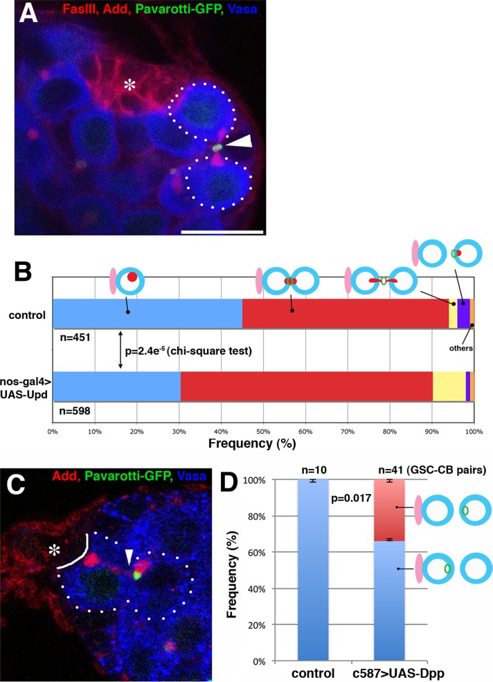 FIGURE 6: