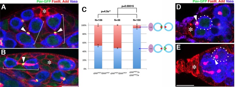 FIGURE 4: