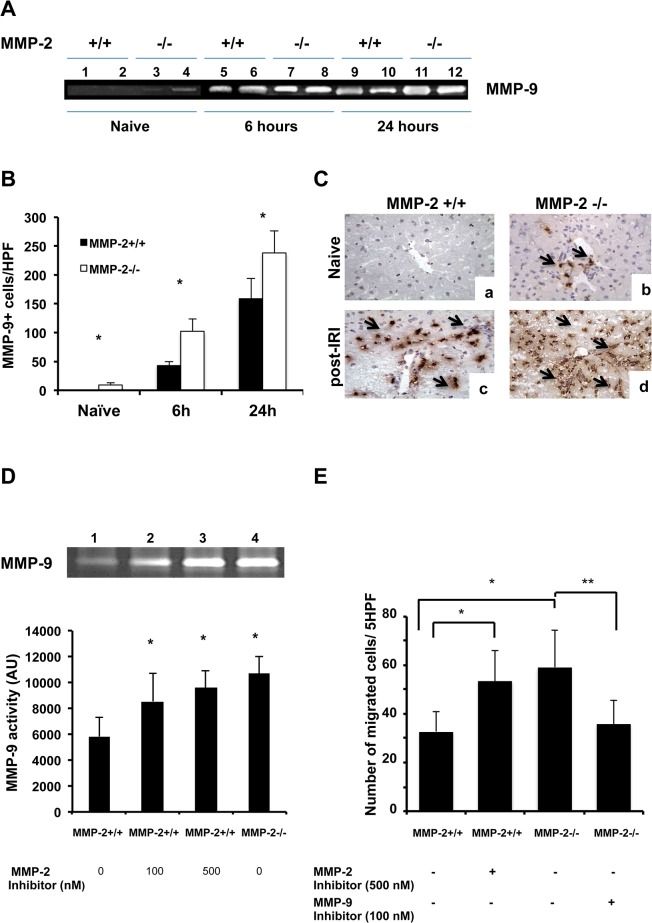 Fig 6