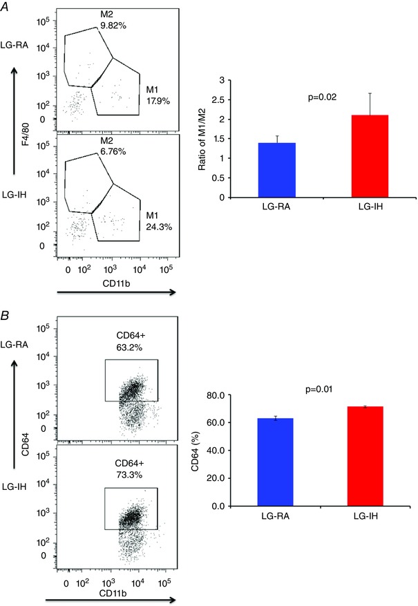 LG‐IH exposures in utero alter macrophage populations in visceral fat