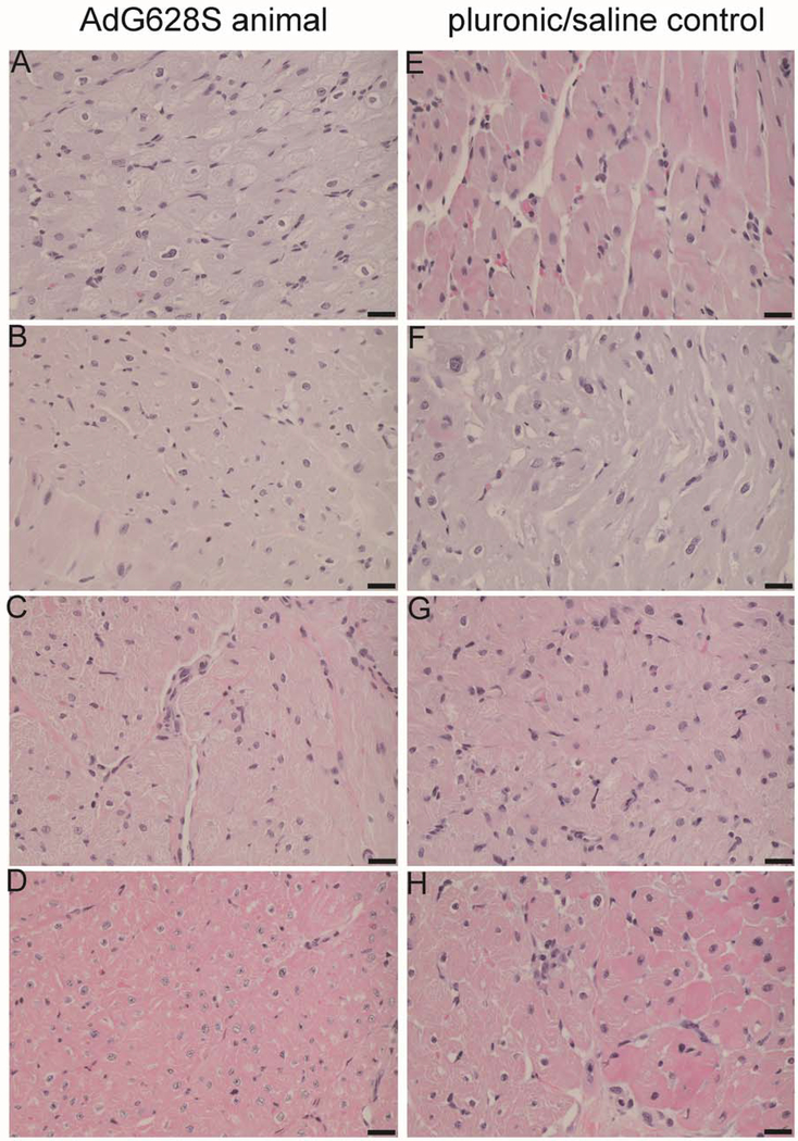 Figure 5: