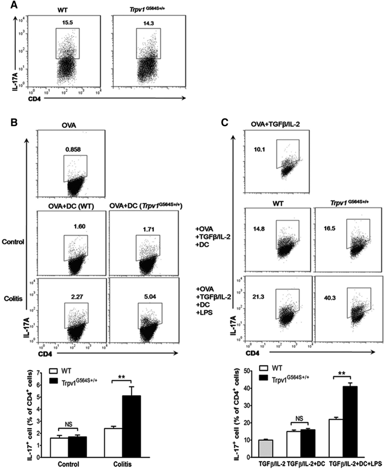 Figure 4