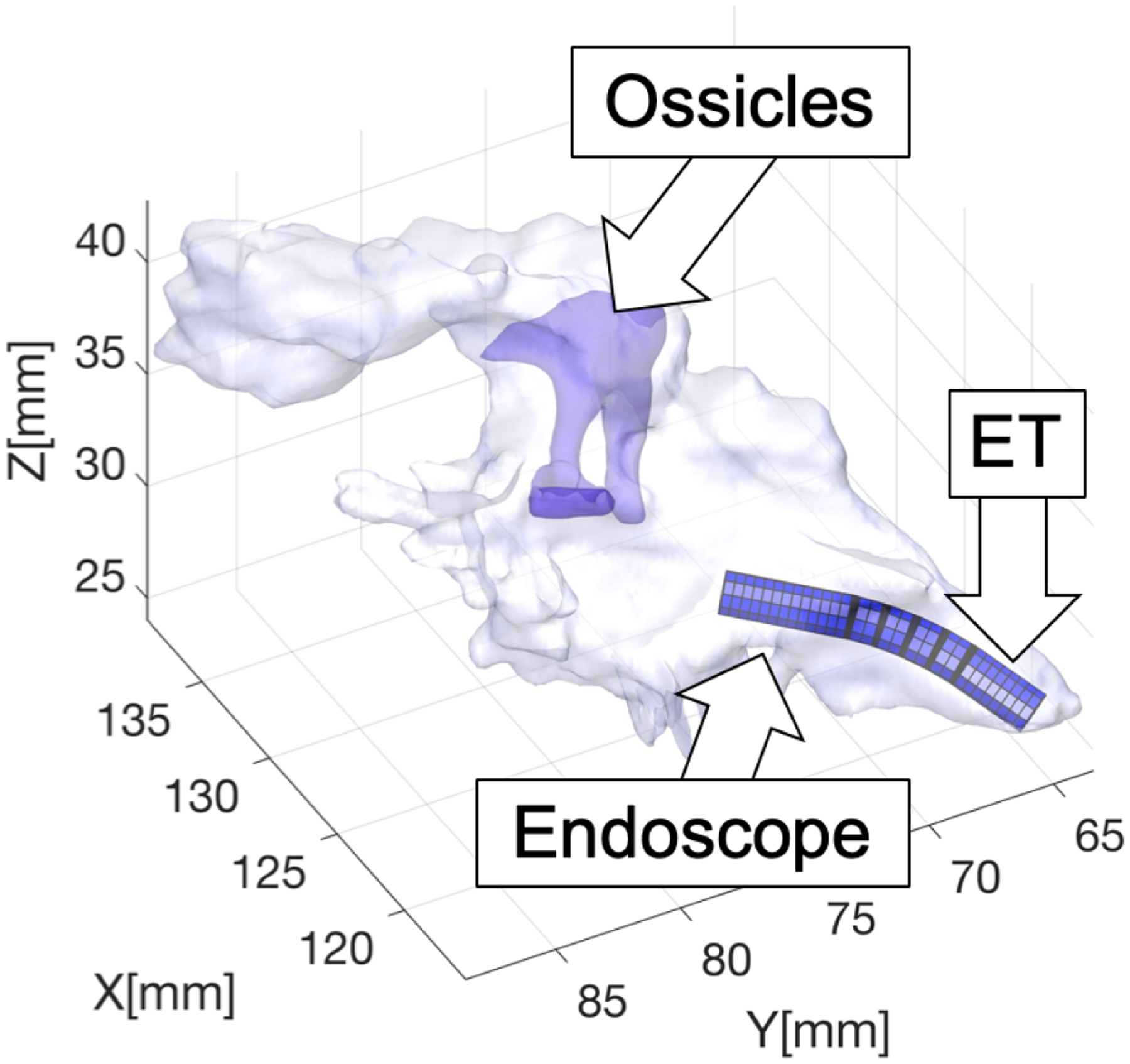 Fig. 4.