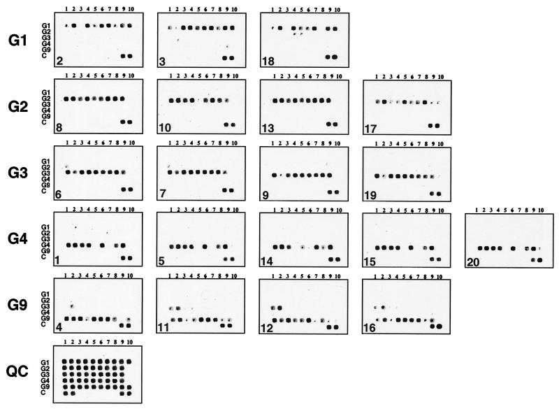 FIG. 3.