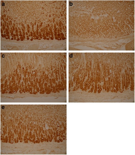 Fig. 9