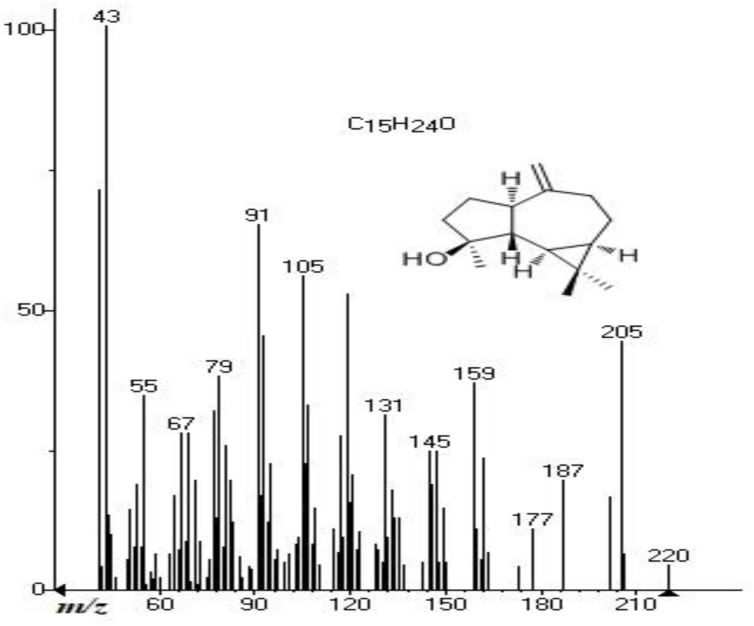 FIGURE 1