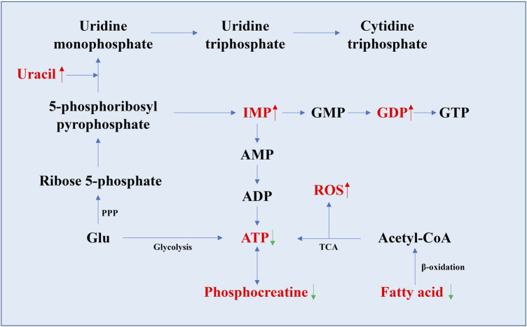 FIGURE 3