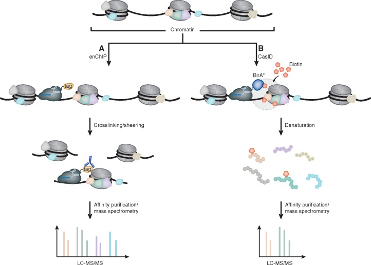 Figure 3: