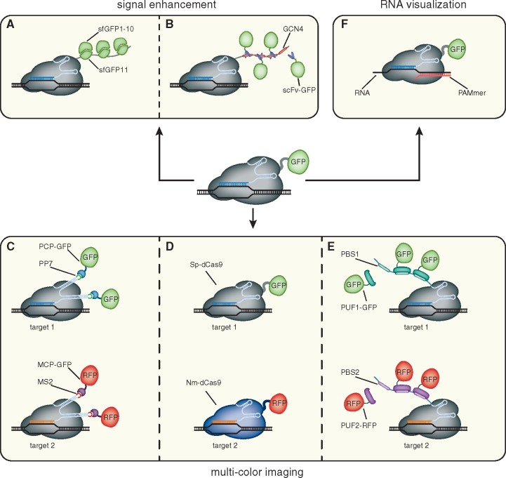 Figure 2: