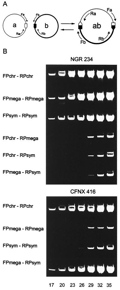 FIG. 2.