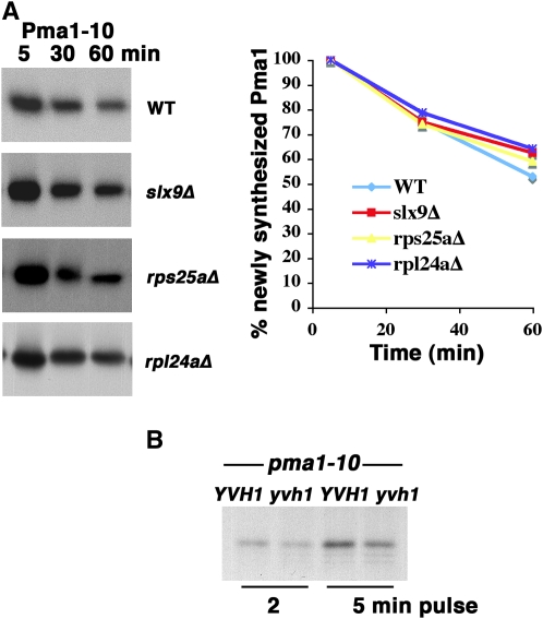 Figure 6.—