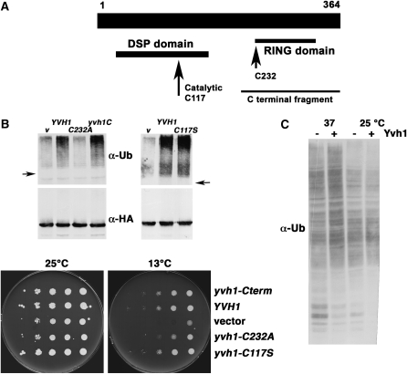 Figure 2.—