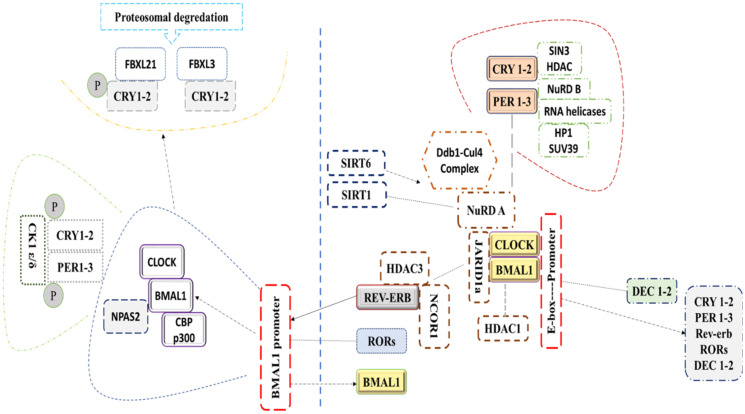 Figure 1