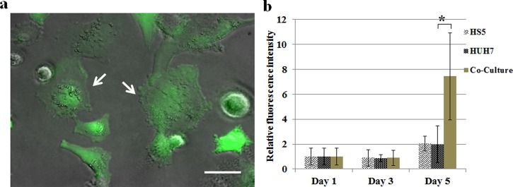 FIG. 5.