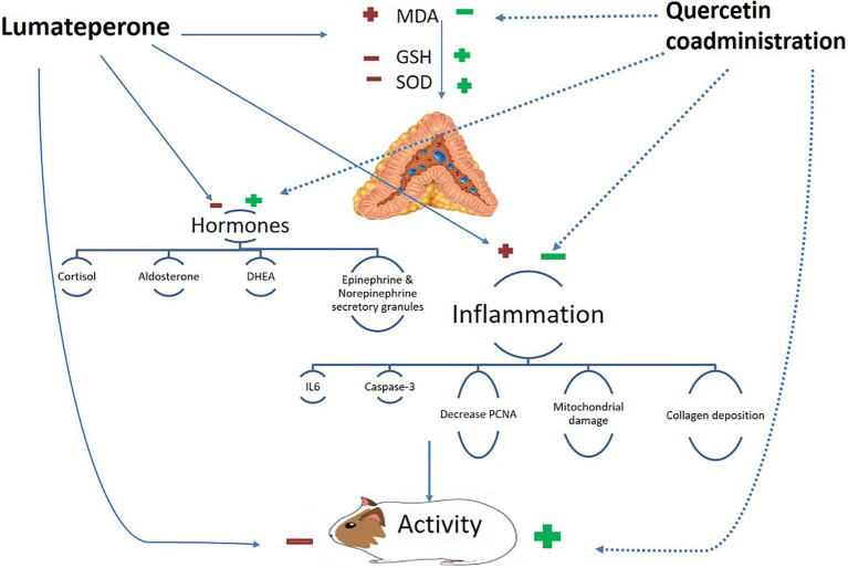 Graphical Abstract