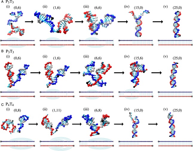 Figure 6.