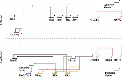 Figure 5.