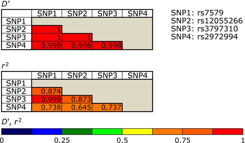 Fig. 1