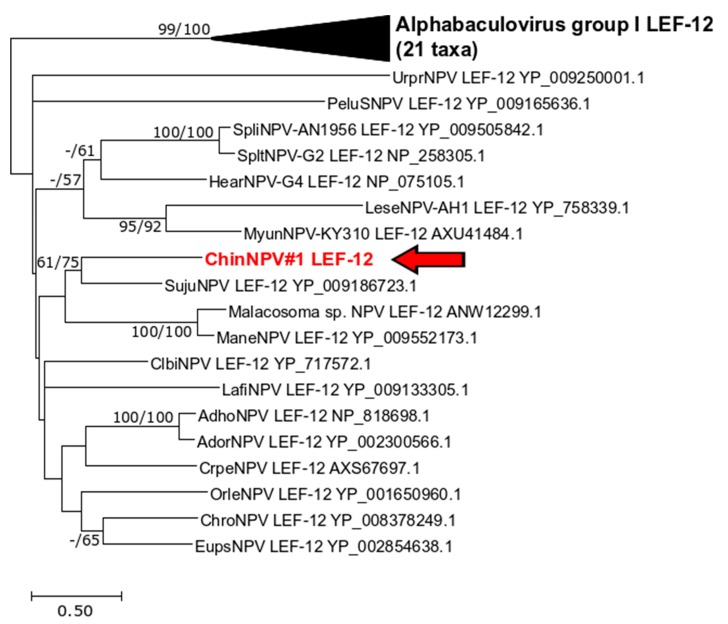 Figure 6