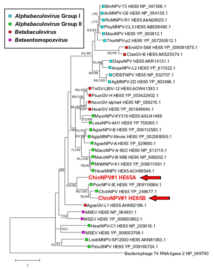 Figure 7