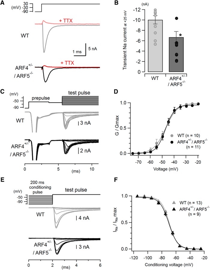 Figure 5.