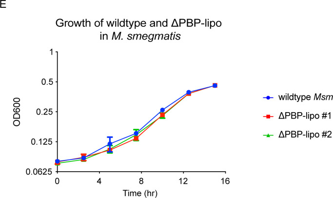 Figure 3—figure supplement 2.