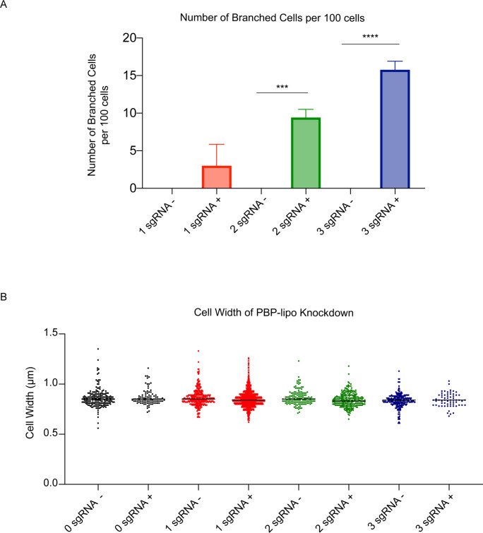 Figure 4—figure supplement 1.