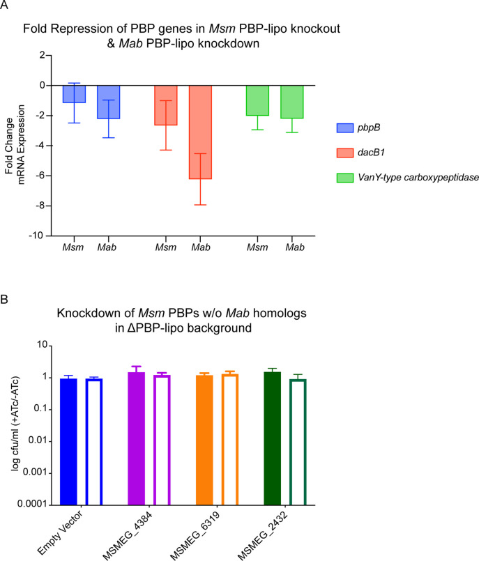 Figure 6—figure supplement 5.