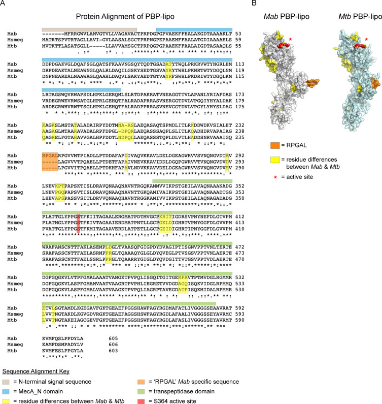 Figure 6—figure supplement 1.