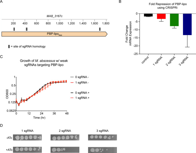 Figure 3—figure supplement 1.