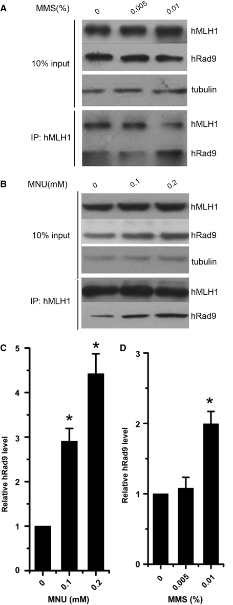 Figure 5.