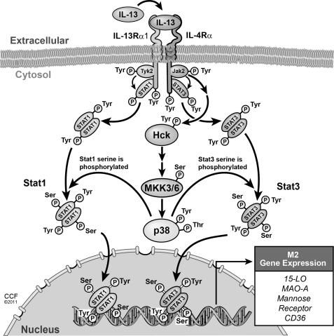 FIGURE 10.