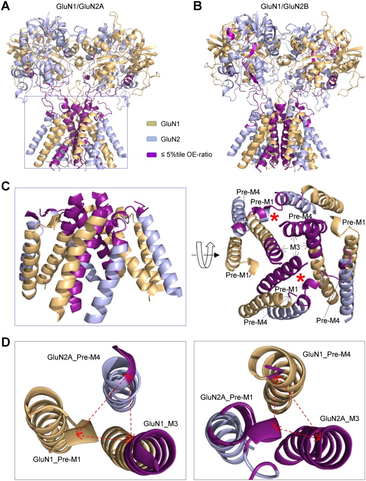 Fig 9