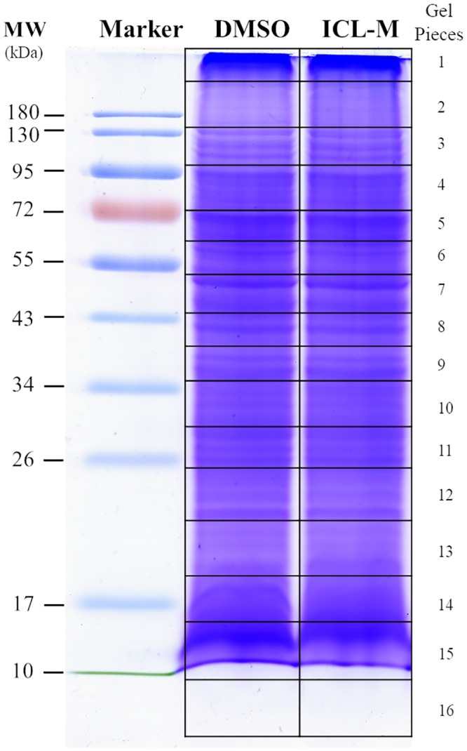 Fig 5