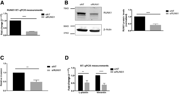 Figure 6