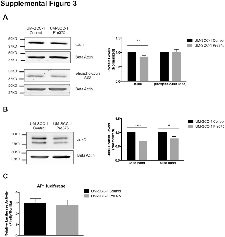 Supplemental Figure S3