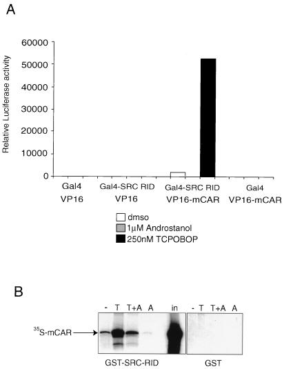 FIG. 6