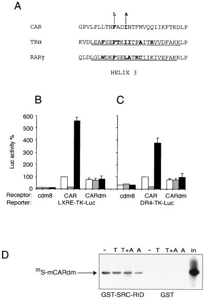 FIG. 7