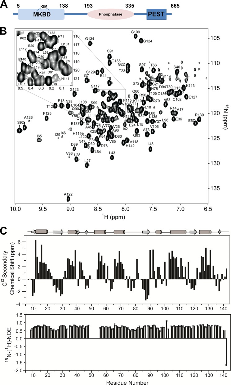 FIGURE 1.