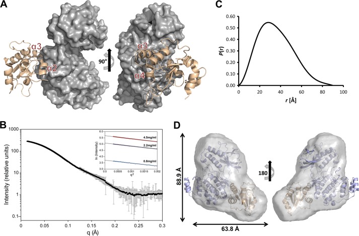 FIGURE 4.